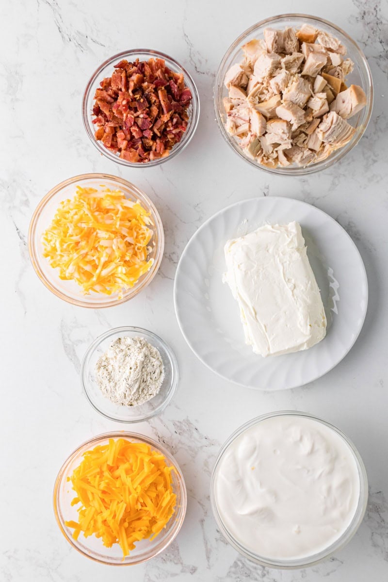 ingredients for the Crack Chicken Dip.