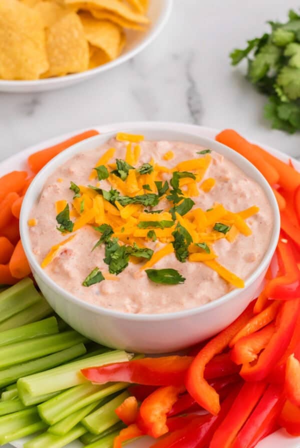 Fiesta Taco Dip