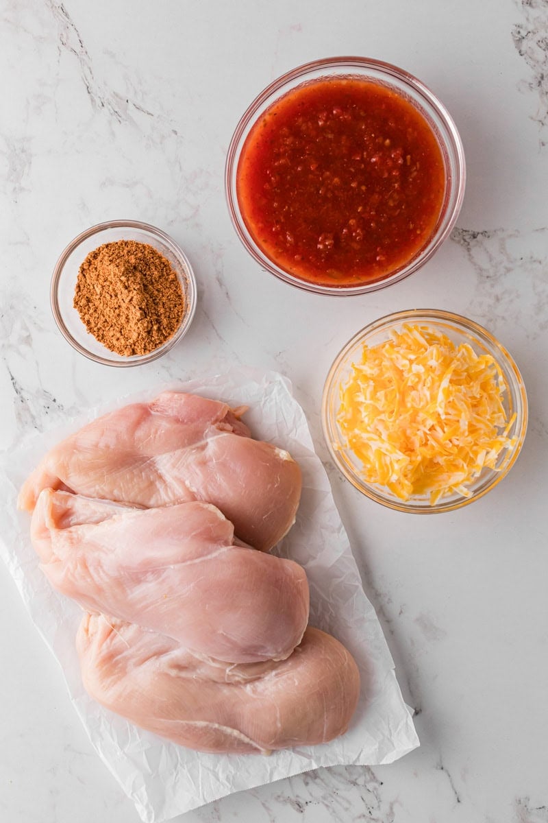 ingredients for the Salsa Chicken.