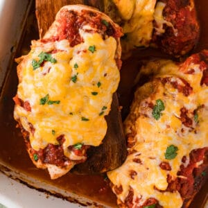 Salsa Chicken