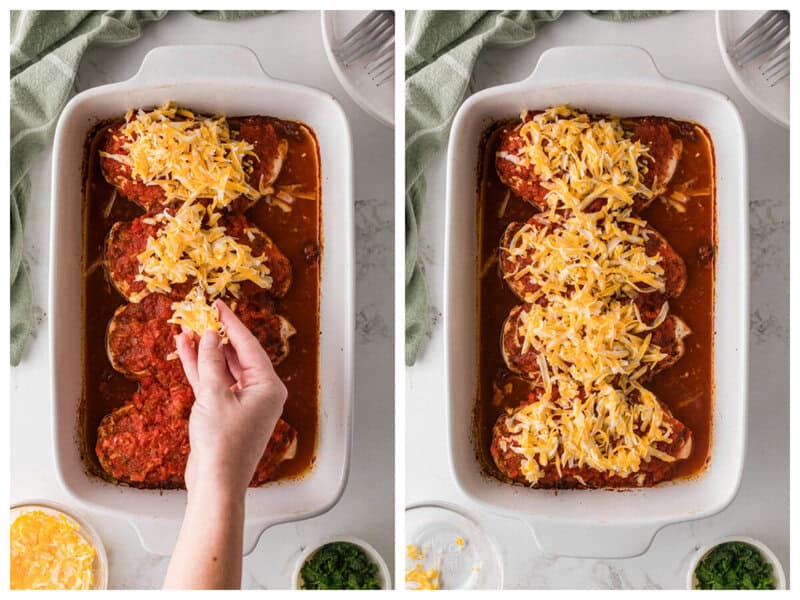 topping the Salsa Chicken with the shredded chicken.