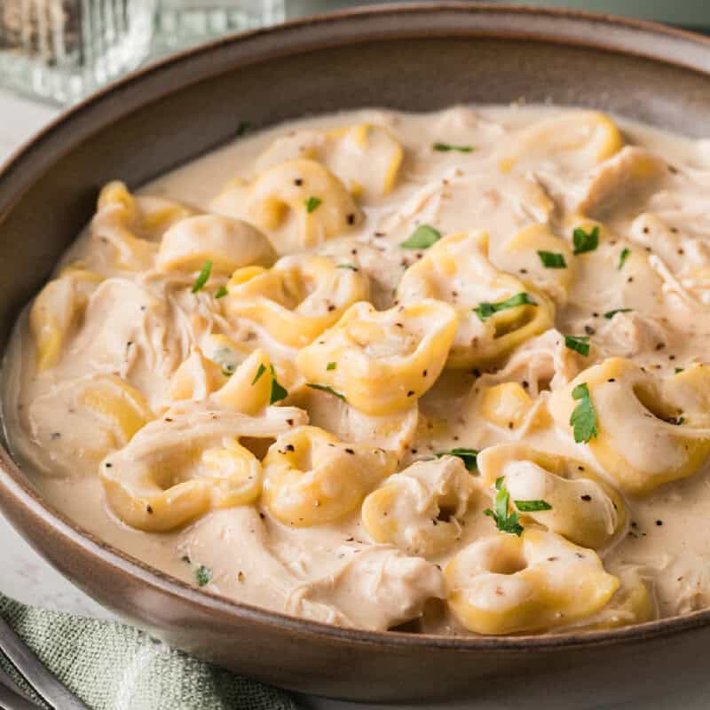 Slow Cooker Chicken Alfredo Tortellini served in a large bowl.