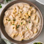 Slow Cooker Chicken Alfredo Tortellini