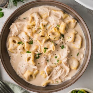 Slow Cooker Chicken Alfredo Tortellini