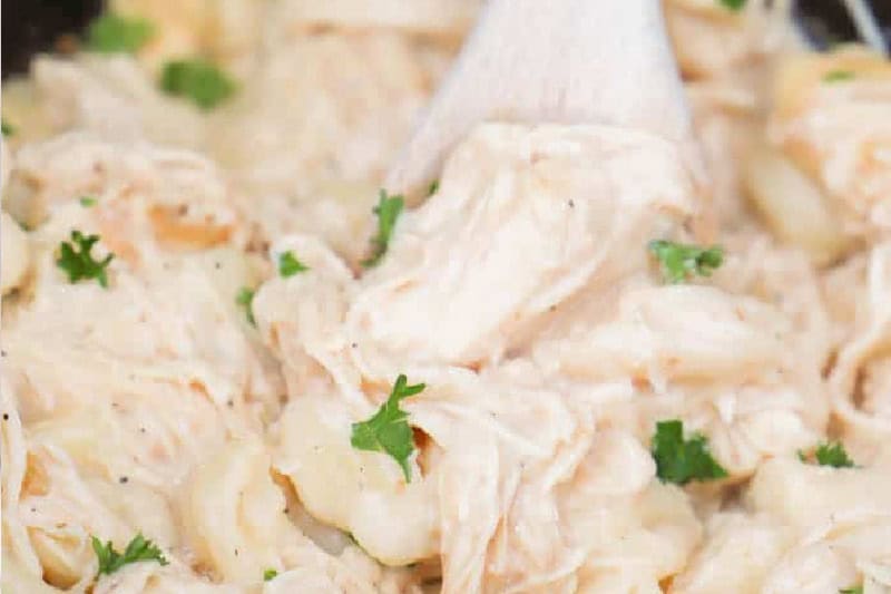closeup of the Chicken Alfredo Tortellini.