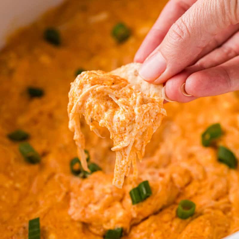 closeup of a tortilla chip in hand with dip on it.