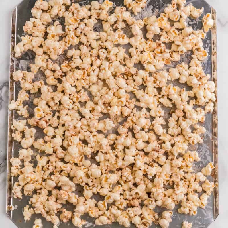 pumpkin pie spice covering the popcorn.
