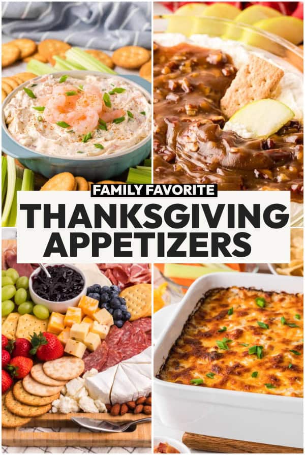 THANKSGIVING APPETIZER RECIPES